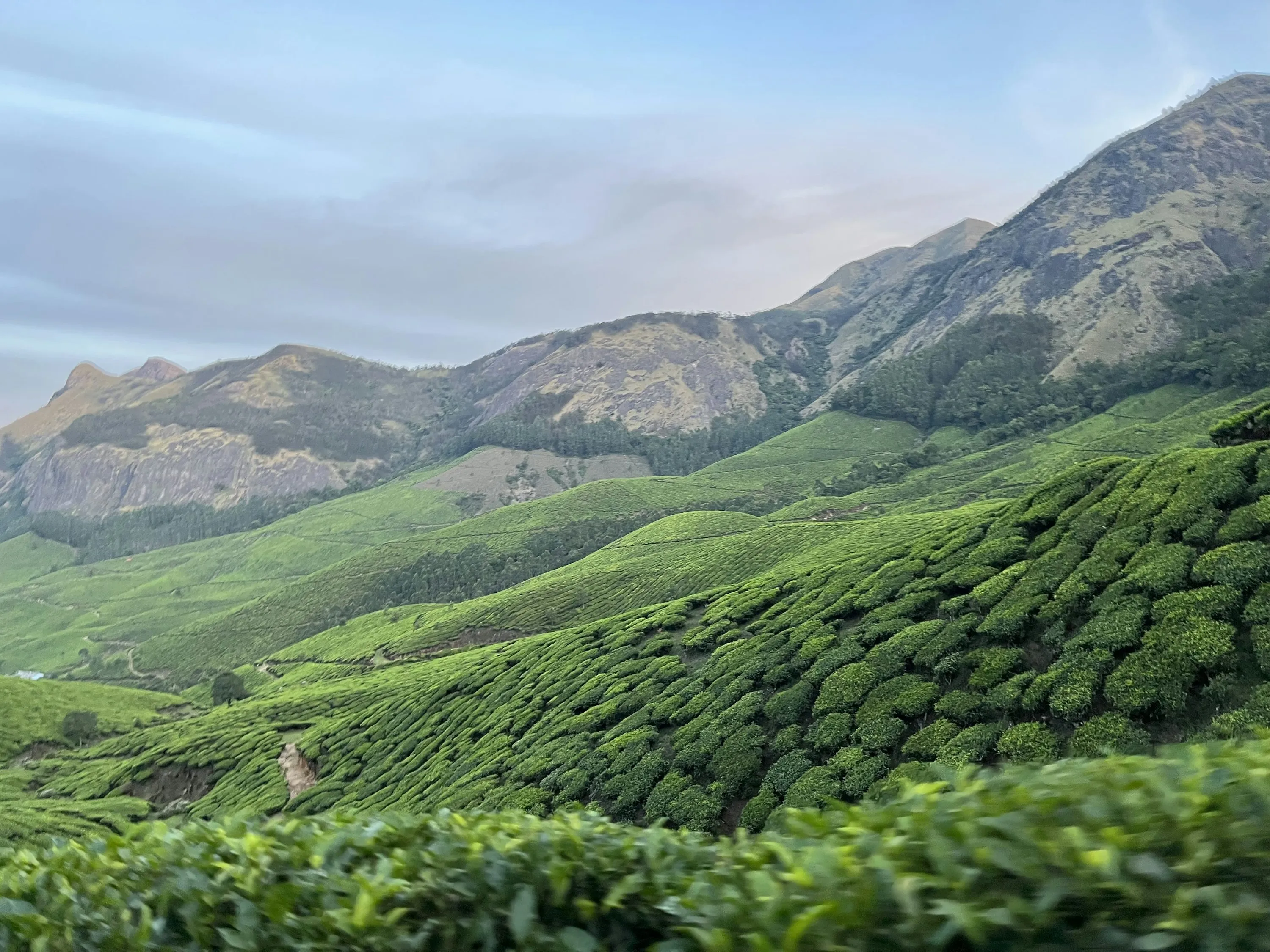 云南茶山全景风光 - 黑料